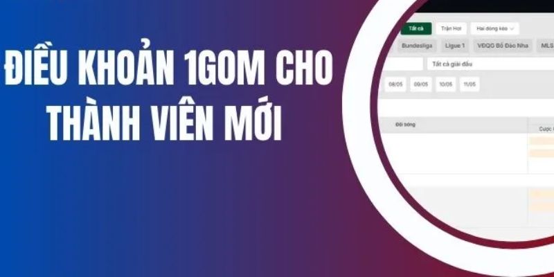 Chính sách bảo mật thông tin và quyền riêng tư
