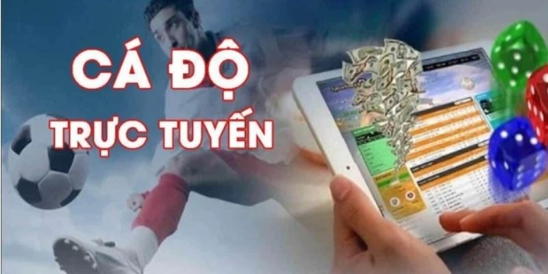 Giới thiệu tổng quan về app cá độ bóng đá 1gom