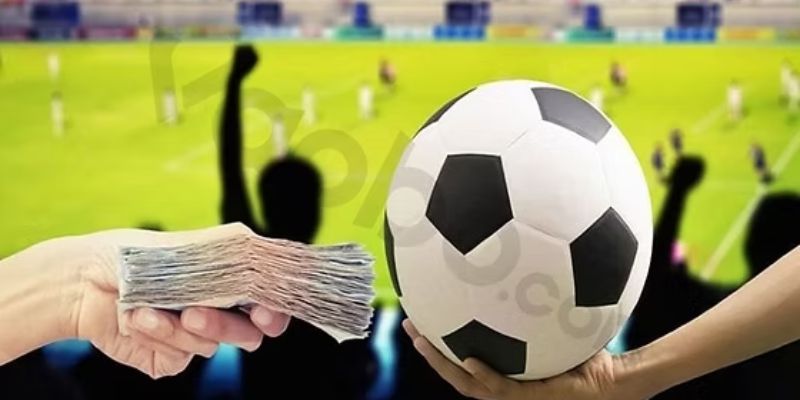 Luật cá độ bóng đá tài xỉu theo trận đấu