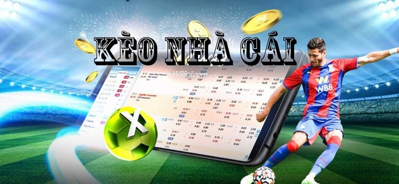 Tại sao nên quan tâm đến soi kèo nhà cái