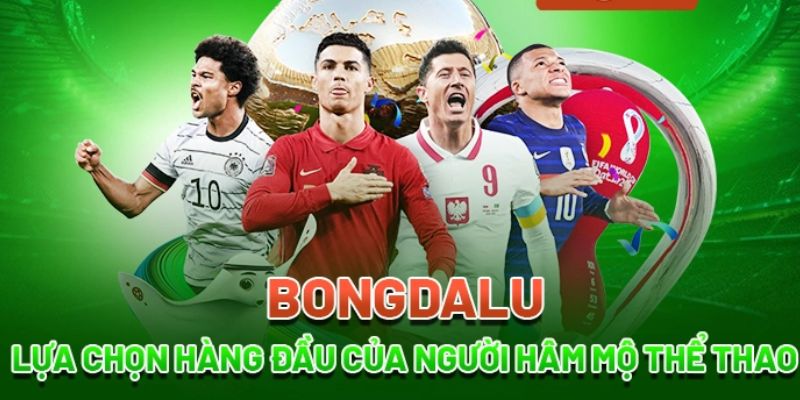 link vào bóng đá lu Tại sao cần link vào bóng đá lu của 1gom?