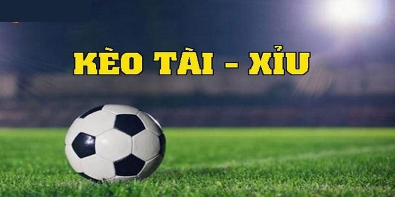Giới thiệu tổng quan về cược tài xỉu